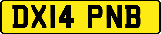 DX14PNB