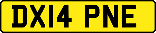 DX14PNE