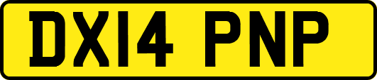DX14PNP