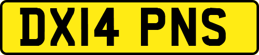 DX14PNS