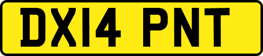 DX14PNT