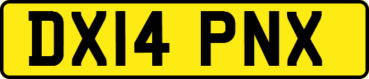 DX14PNX