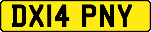 DX14PNY