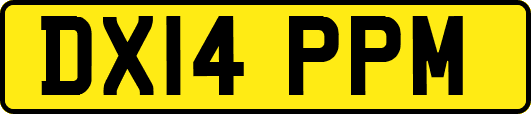 DX14PPM
