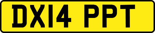 DX14PPT