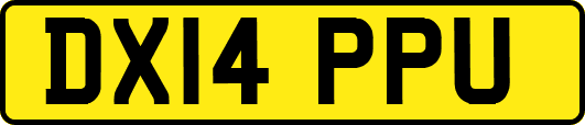 DX14PPU