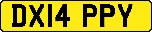 DX14PPY