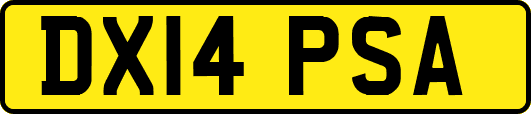 DX14PSA