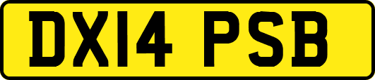 DX14PSB