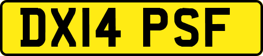 DX14PSF