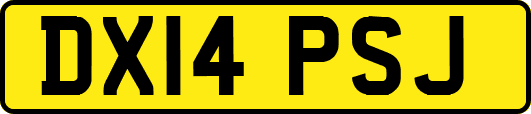 DX14PSJ