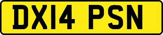 DX14PSN