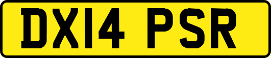 DX14PSR