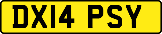 DX14PSY