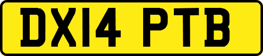 DX14PTB