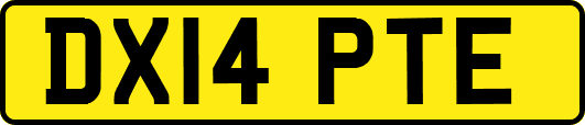 DX14PTE