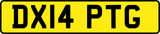DX14PTG