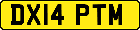 DX14PTM