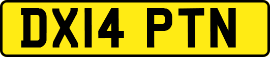 DX14PTN
