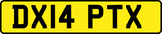 DX14PTX