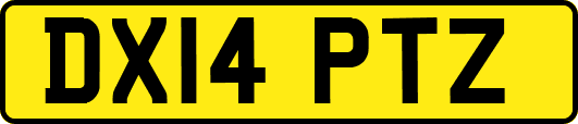 DX14PTZ