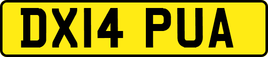 DX14PUA