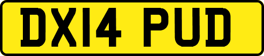 DX14PUD