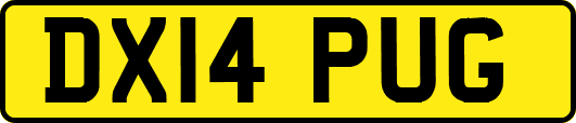 DX14PUG