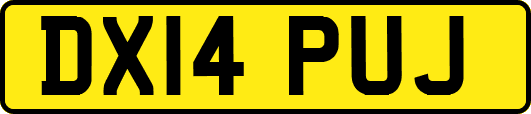 DX14PUJ