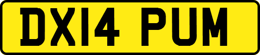 DX14PUM