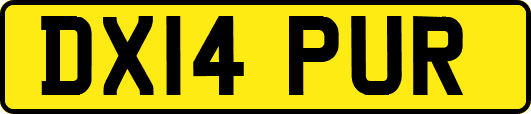 DX14PUR