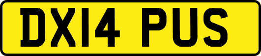 DX14PUS