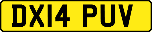 DX14PUV