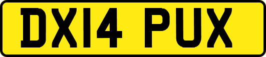 DX14PUX