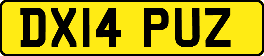 DX14PUZ