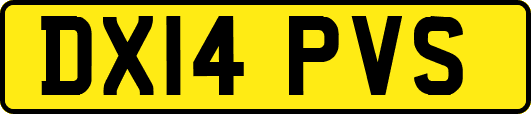 DX14PVS