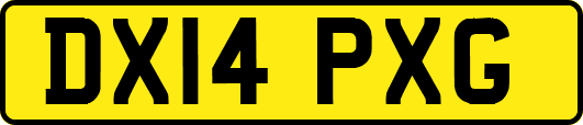 DX14PXG