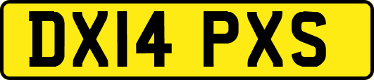 DX14PXS