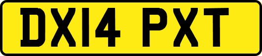 DX14PXT