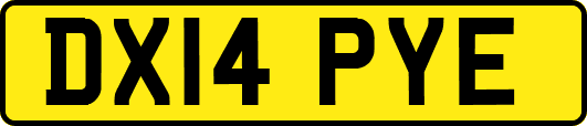 DX14PYE