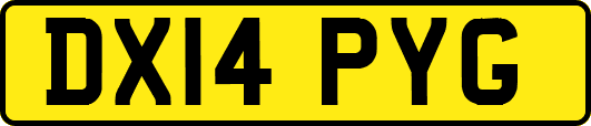 DX14PYG