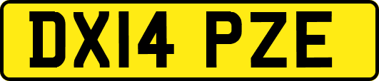 DX14PZE