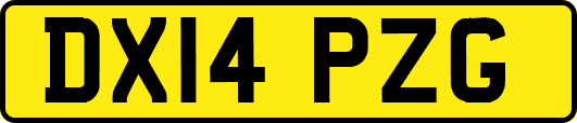DX14PZG