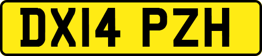 DX14PZH