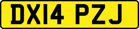 DX14PZJ