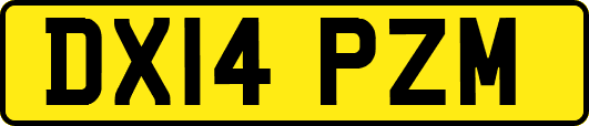 DX14PZM