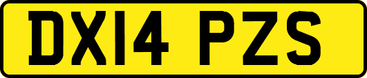 DX14PZS