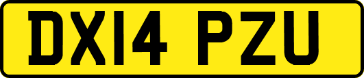 DX14PZU
