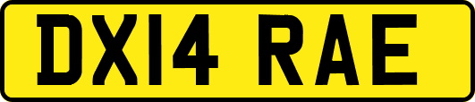 DX14RAE