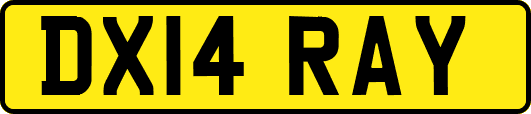 DX14RAY